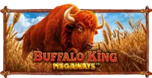 ภาพเกม Buffalo King Megaways ที่ vf339 รวบรวมไว้
